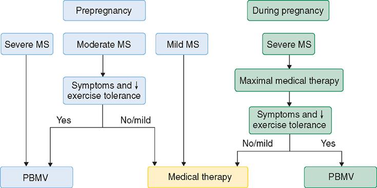 Algorithm for the management of mitral stenosis in the pregnant
