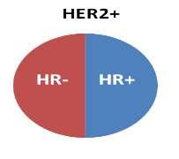 Her-2 heterogeneity IHC