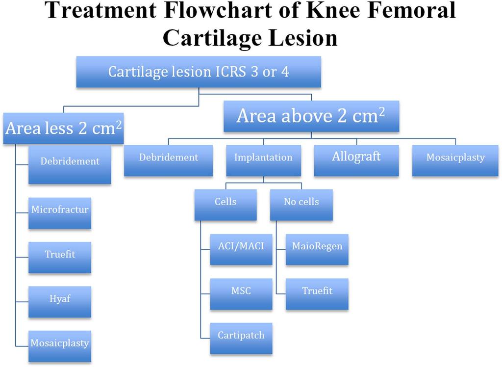 Årøen et al 215 Figure 1. Proposed treatment algorithm for handling a cartilage lesion.