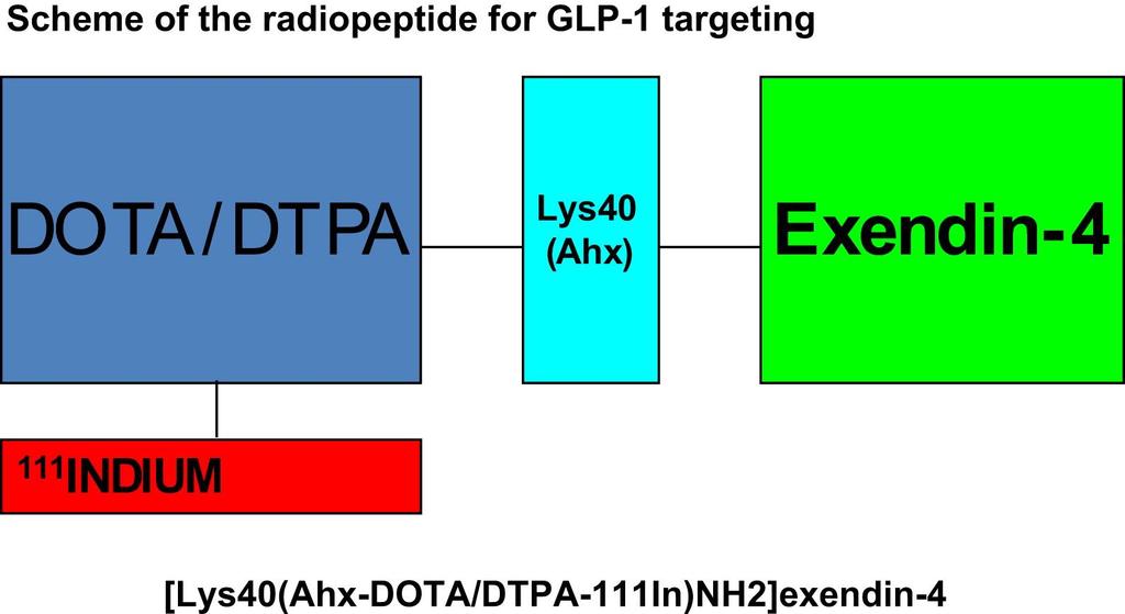 Radioactive peptide GLP-1 R Glucagonlike