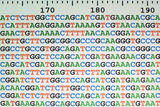 DNA and Genes DNA has four building blocks that can be arranged (like words in a
