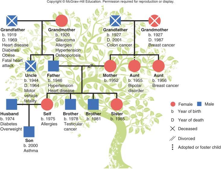 Creating a Family Health Tree Also called a genogram or genetic pedigree Visual representation of your family s genetic history
