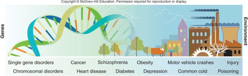 Contributions of the Environment and Genetics 49 Health-Related Behavior Choices Psychologists have proposed the: