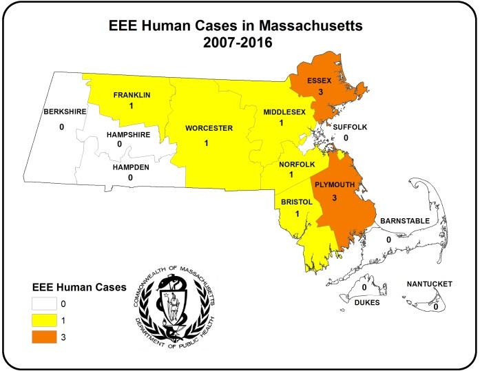 In Massachusetts, Culiseta melanura activity is important for EEE virus amplification while mammal-biting mosquitoes, such as Coquillettidia perturbans, serve to spread the virus to humans.