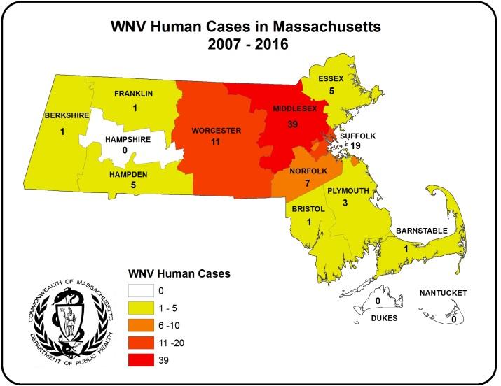 In Massachusetts, the vectors for WNV are primarily Culex species. Culex species are closely associated with human activity.
