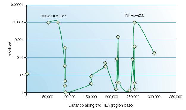 Genetic markers in the HLA-B region