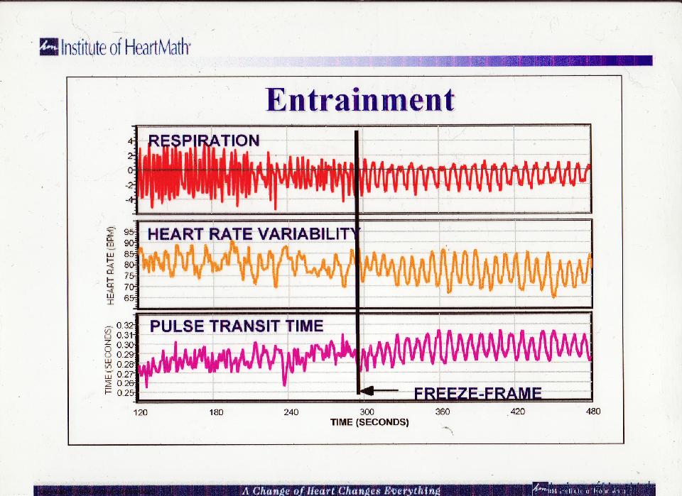 Emotions and Heart Waves Incoherence Coherence McCraty, R., et al.