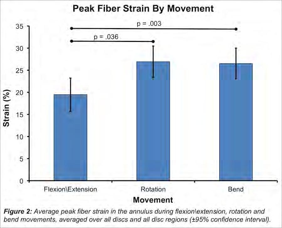 Peak fiber strain consistently decreased from superior to inferior: C34 disc (29.5±7.6%), C45 disc (24.0±4.8%), C56 disc (23.8%±6.1%), C67 disc (19.8%±3.4%).