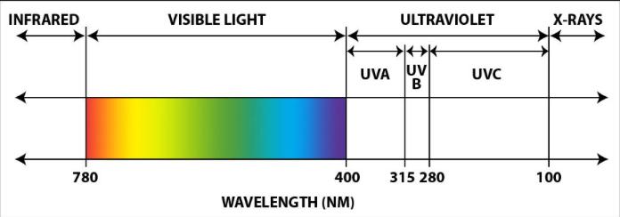 Ultraviolet radiation Sunscreen and the UV spectrum UVA: