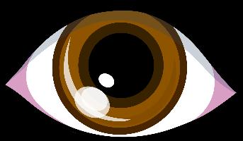 The PUPIL is the black circle in the middle of the IRIS. It lets light into the eye. 3.