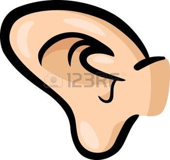 The vibration of the Eardrum move along this until they reach the COCHLEA. 1. Sound enters through EAR FLAP or PINNA. 5. COCHLEA is a small, spiral shaped cavity.