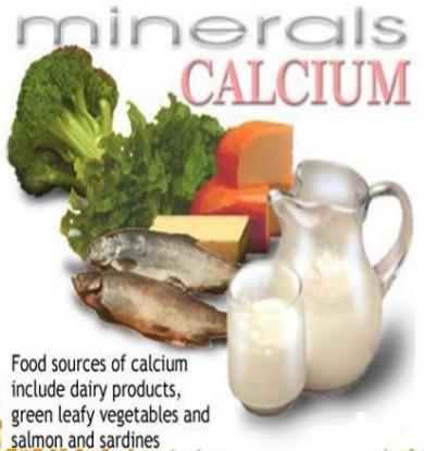 Deposit Calcium in the Bone