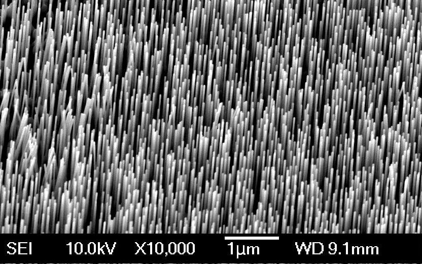 EXPERIMENT The ZnO nanowires used in this study were grown on GaN templates by CVD without employing any metal catalysts.