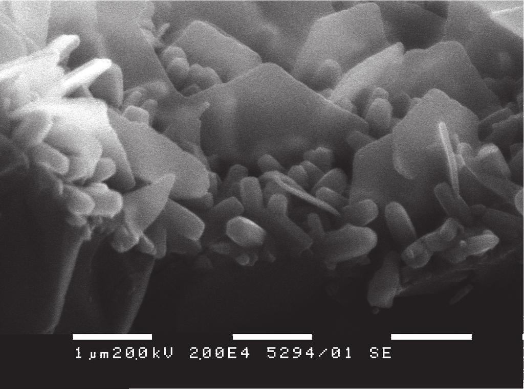 The surface morphology of the deposited ZnO based structures has been studied by means of