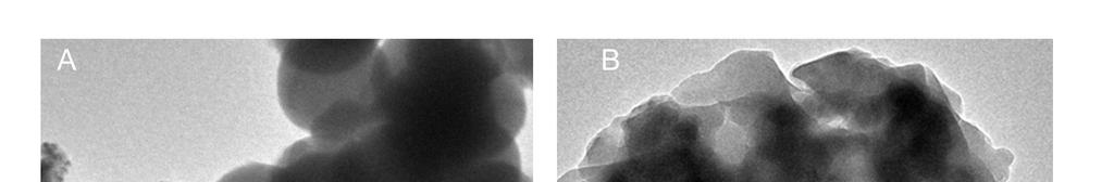 8. TEM images of EDPS