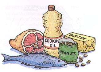 Fats Function: Helps body digest food, keep body temp.