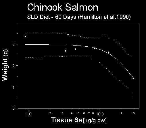 Included: selenium effect on salmon growth -- 60 days EC20 = 15.74 µg/g dry wt. EC20 = 10.47 µg/g dry wt.