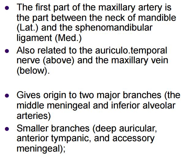 -4- Maxillary artery Correspond to maxillary nerve branches (same names) branch of the external carotid, this branching occur within the substance of the parotid gland, here the external carotid
