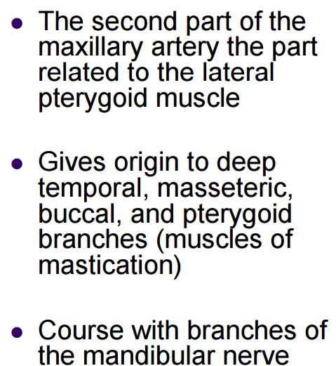 2 nd part: 2 nd part also gives 5 branches but most of them are muscular so it is mainly muscular (supplies muscle of mastication and buccal region) 1. anterior deep temporal branches 2.