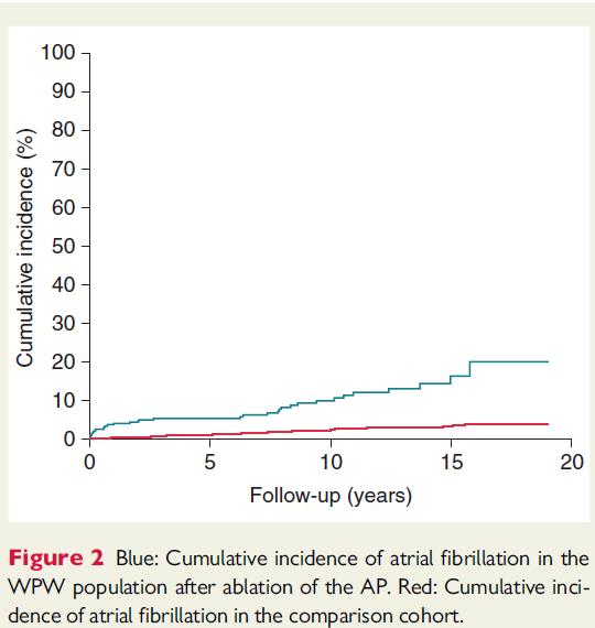 recurrence rate of paroxysmal atrial fibrillation after
