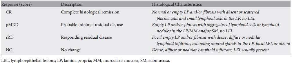 Assessment of response Histology& assessment of HP eradication Persistence of residual
