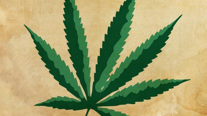 Legalized Marijuana & Its Impact on Employment April 14, 2019 ABVE Conference 2019 Tucson, AZ Presented by