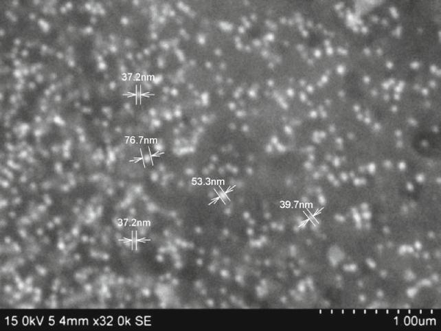 Appl Nanosci (2015) 5:443 448 445 Results and discussion SEM image of the synthesized gold nanoparticles The results obtained from the studies of anticancer activity showed that gold nanoparticles