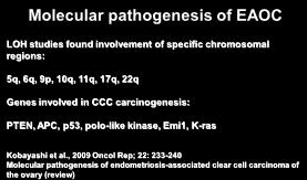 Molecular pathogenesis of EAOC LOH studies found involvement of specific chromosomal regions: 5q, 6q, 9p, 10q, 11q, 17q, 22q Genes involved in CCC carcinogenesis: PTEN,