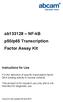 ab NF-kB p50/p65 Transcription Factor Assay Kit