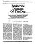Endocrine Diseases Of The Dog