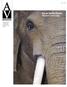 Eye on Gentle Giants: Elephants Under Siege A PUBLICATION OF THE AMERICAN ANTI-VIVISECTION SOCIETY