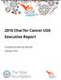 2016 Chai for Cancer USA Executive Report