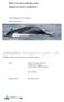 IMARES Wageningen UR. Short ID sheet whales and dolphins Dutch Caribbean. Meike Scheidat en Steve C.V. Geelhoed. Report number C022/14