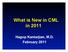 What is New in CML in Hagop Kantarjian, M.D. February 2011