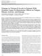 Changes in Vitamin D Levels in Patients With Systemic Lupus Erythematosus: Effects on Fatigue, Disease Activity, and Damage
