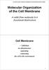 Molecular Organization of the Cell Membrane