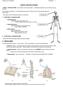 JOINTS (ARTICULATIONS)
