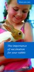 The importance of vaccination for your rabbit