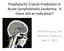 Prophylactic Cranial Irradiation in Acute Lymphoblastic Leukemia: Is there still an indication? Celine Bicquart, MD Radiation Medicine May 5, 2010