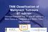 TNM Classification of Malignant Tumours 8 th edition Changes between the 7 th and 8 th editions With focus on Pancreas and Biliary Tracy Carcinomas