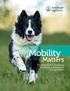 Mobility. Matters. A Practical Guide to Recognizing and Managing Osteoarthritis in Dogs and Cats