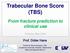 Trabecular Bone Score (TBS)