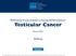 NCCN Clinical Practice Guidelines in Oncology (NCCN Guidelines ) Testicular Cancer