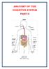ANATOMY OF THE DIGESTIVE SYSTEM PART II