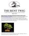 THE BENT TWIG. A monthly newsletter of the American Bonsai Association of Sacramento March 2015