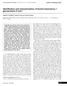 Identification and characterization of bovine herpesvirus-1 glycoproteins E and I