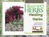 Healing Herbs. Copyright: Heather s Herbs. Heather Whirley Master Gardener