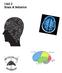 Unit 2 Brain & Behavior