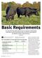 Basic Requirements. Meeting the basic nutrient requirements