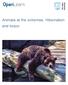 Animals at the extremes: Hibernation and torpor